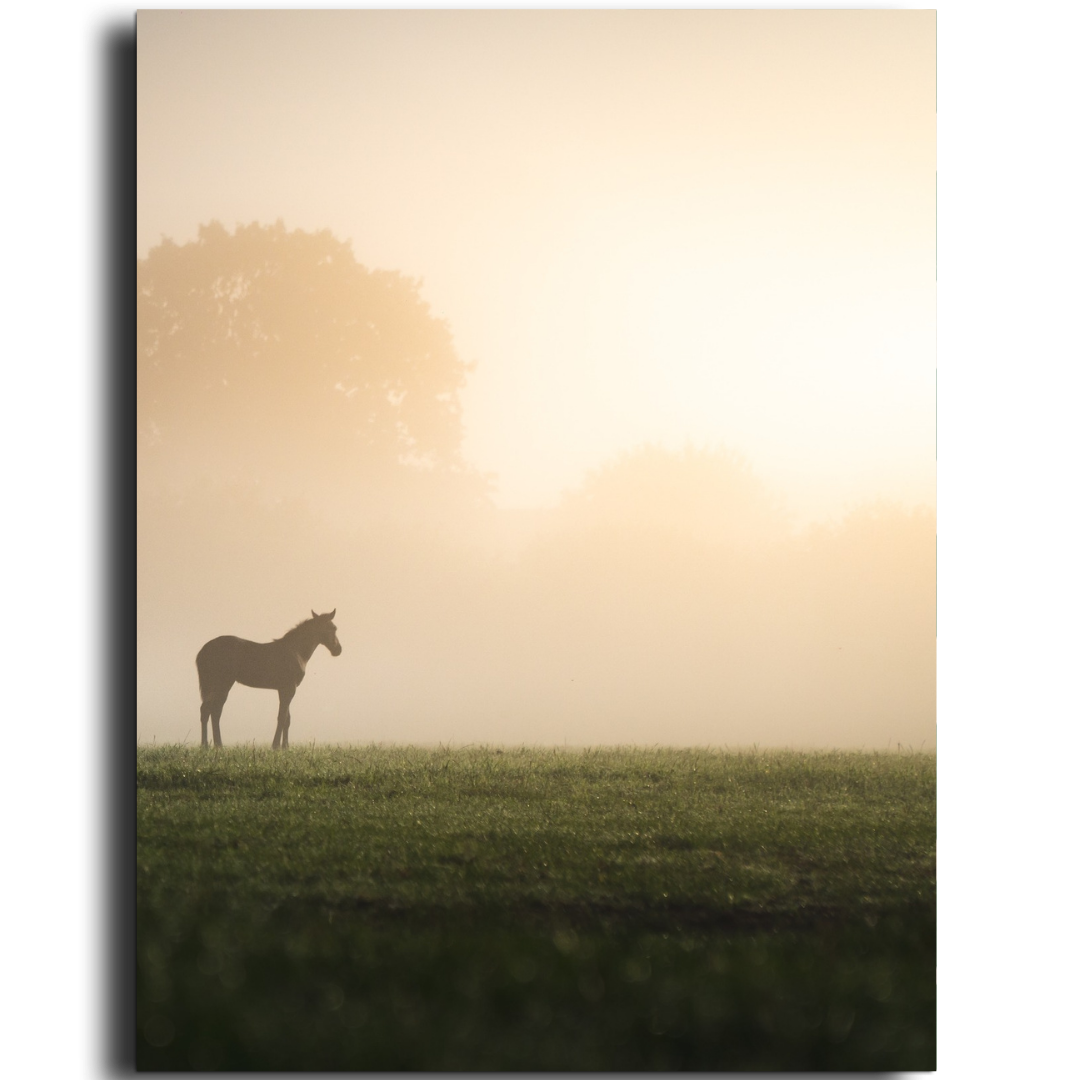 Tableau décoratif - Nuée de Liberté