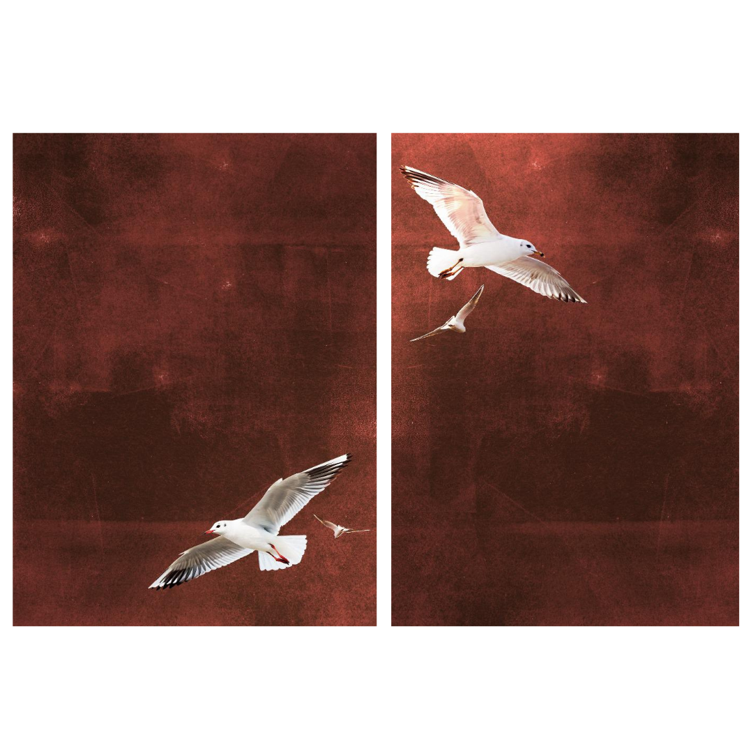 Tableaux décoratifs Pack - Danse dans le Vent