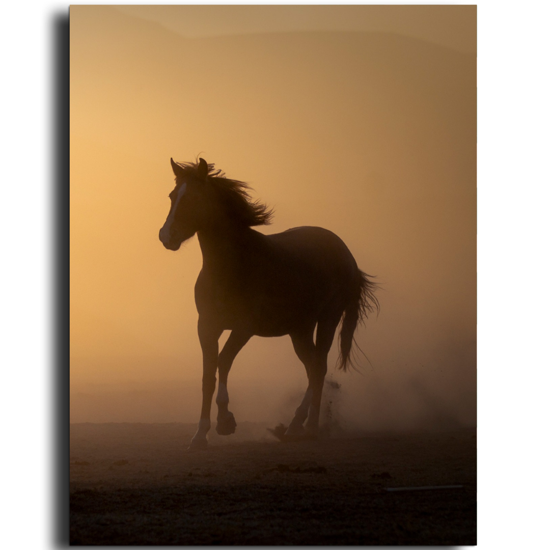 Tableau décoratif - Esprit de l’Ouest