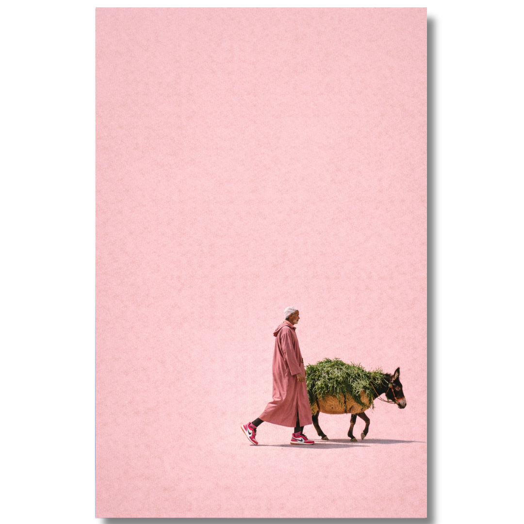 Tableau décoratif -La Marche des Airs