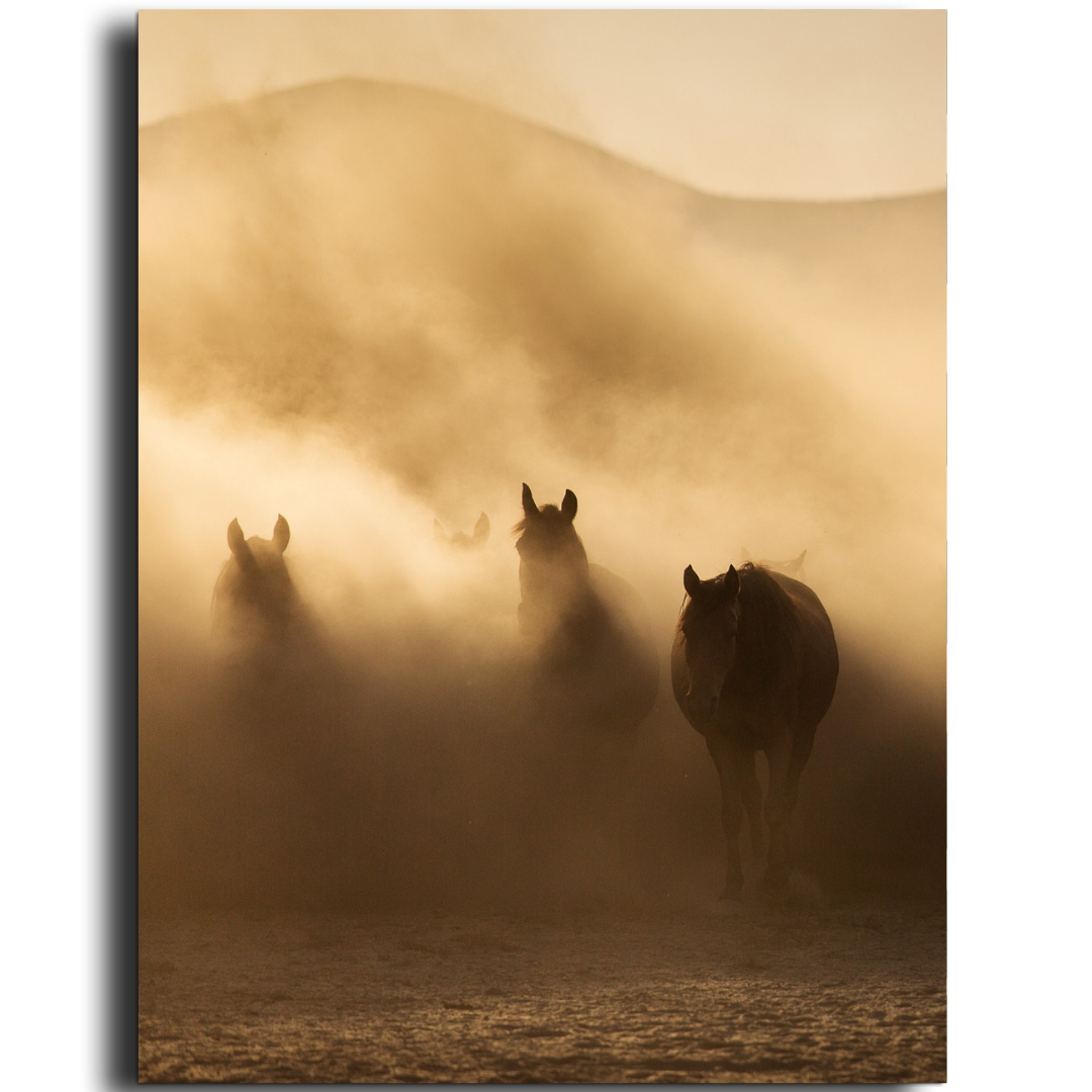 Tableau décoratif - Danse Sauvage