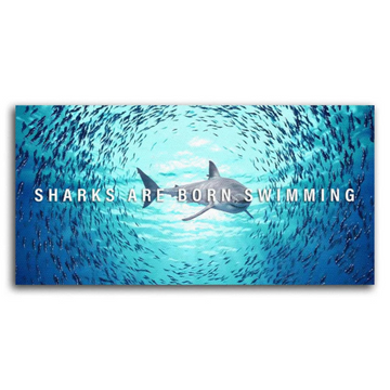 Decorative painting - Shark state of mind