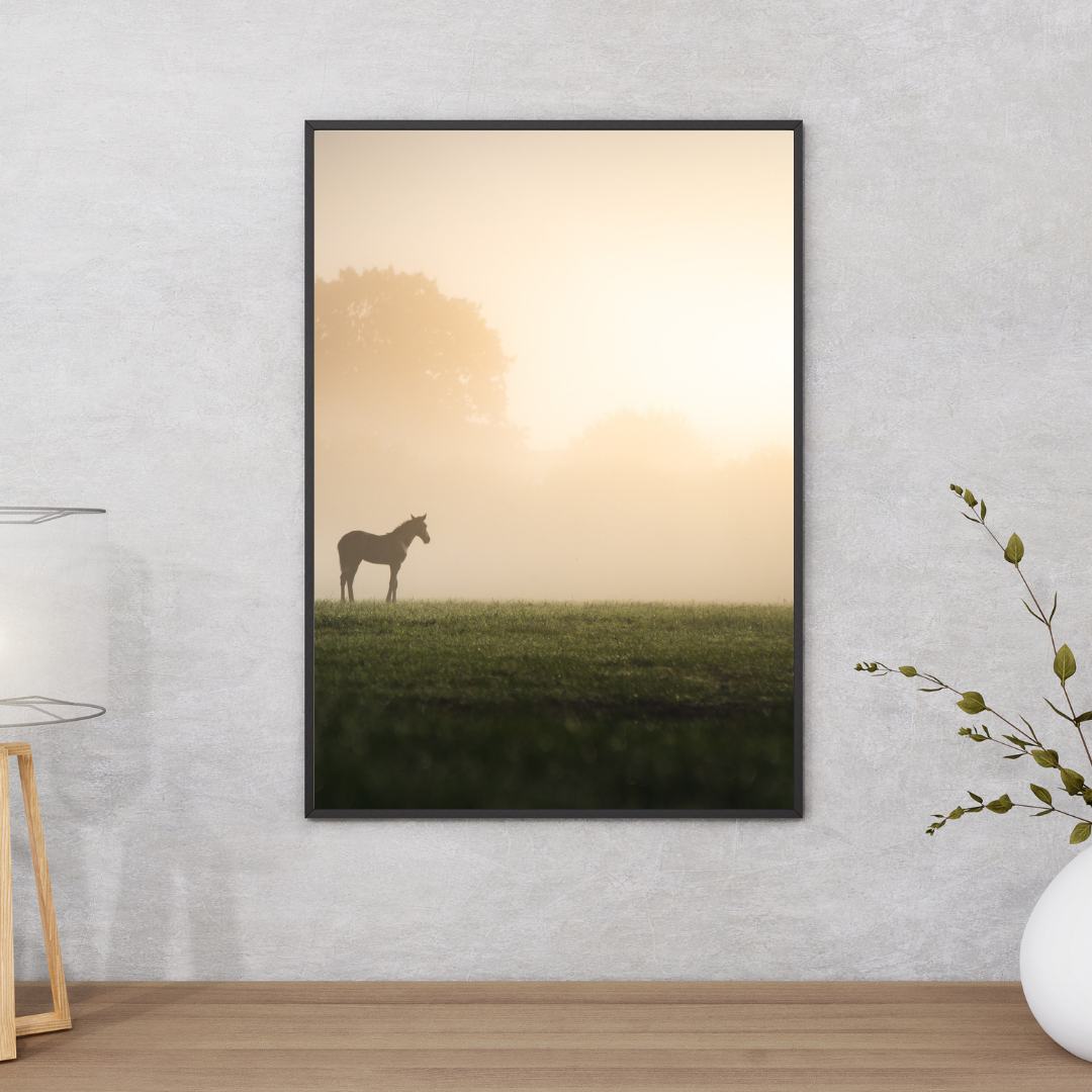 Tableau décoratif - Nuée de Liberté