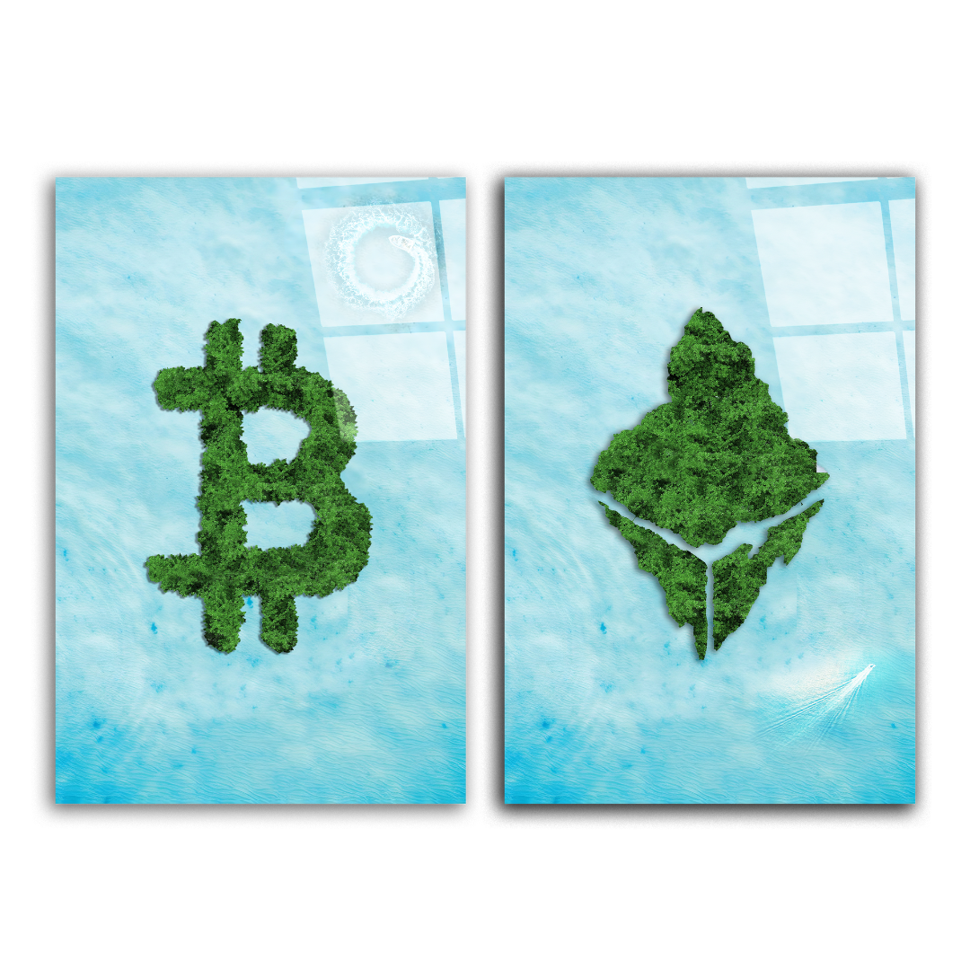 Bitcoin & Ethereum Duo