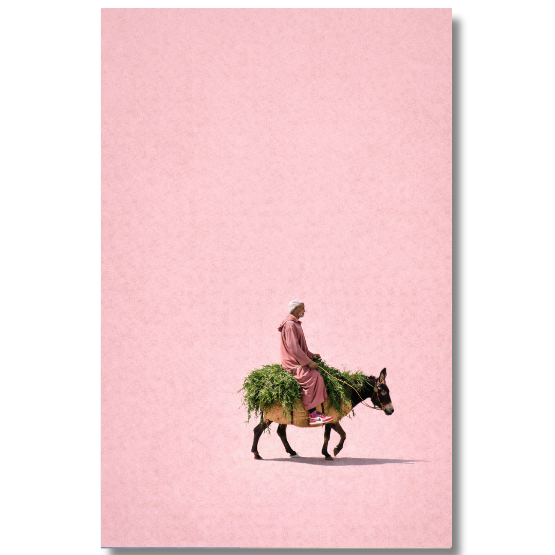 Tableau décoratif -L’Équilibre Rose