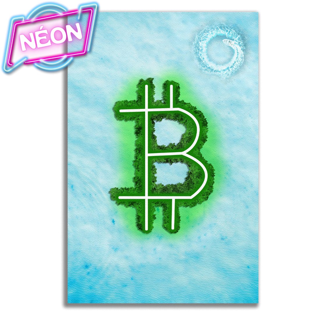 Bitcoin Island - Tableau Néon - kolors brand