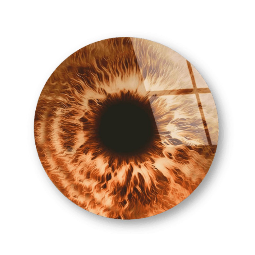 Brown eye - Sculpture - kolors brand