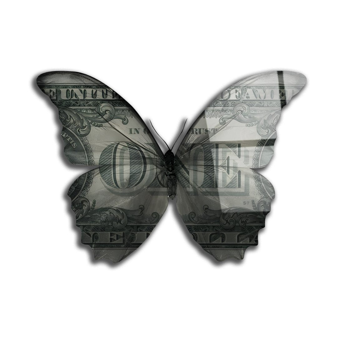 Papillon Dollars - Sculpture - kolors brand